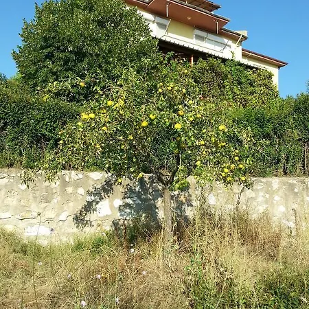 Willa Orkide Yalova (Yalova)