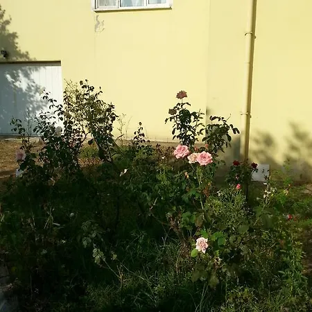 Orkide Willa Yalova (Yalova)