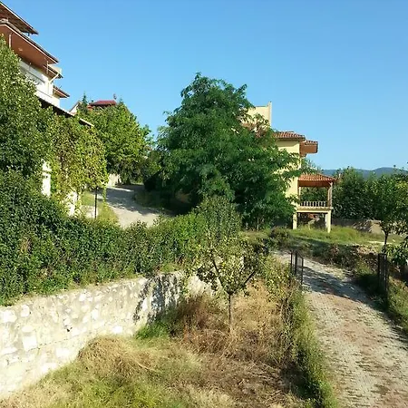 Orkide * Yalova (Yalova)