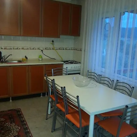 Orkide * Yalova (Yalova)