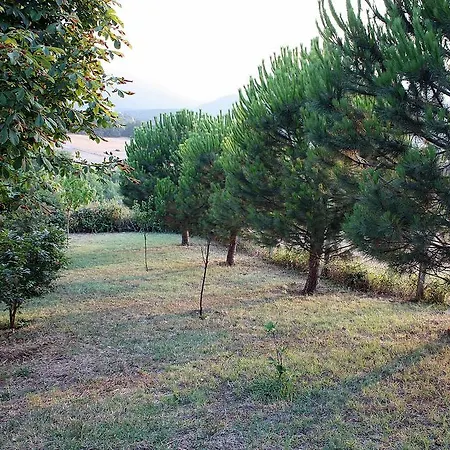 Orkide Willa Yalova (Yalova)