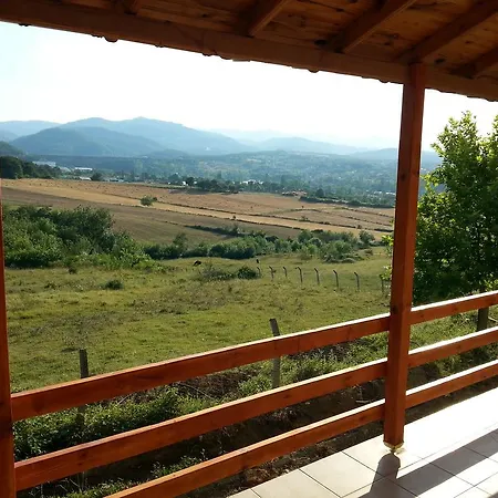 Orkide * Yalova (Yalova)